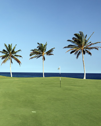 Golfing on Hawaii Island