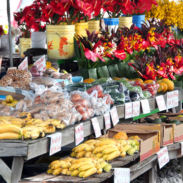 Downtown Hilo on the Island of Hawaii farmers market