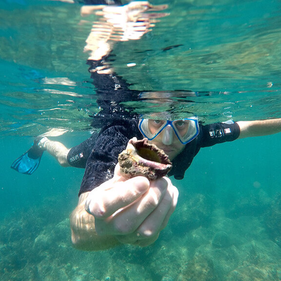Man snorkeling underwater holding a shell