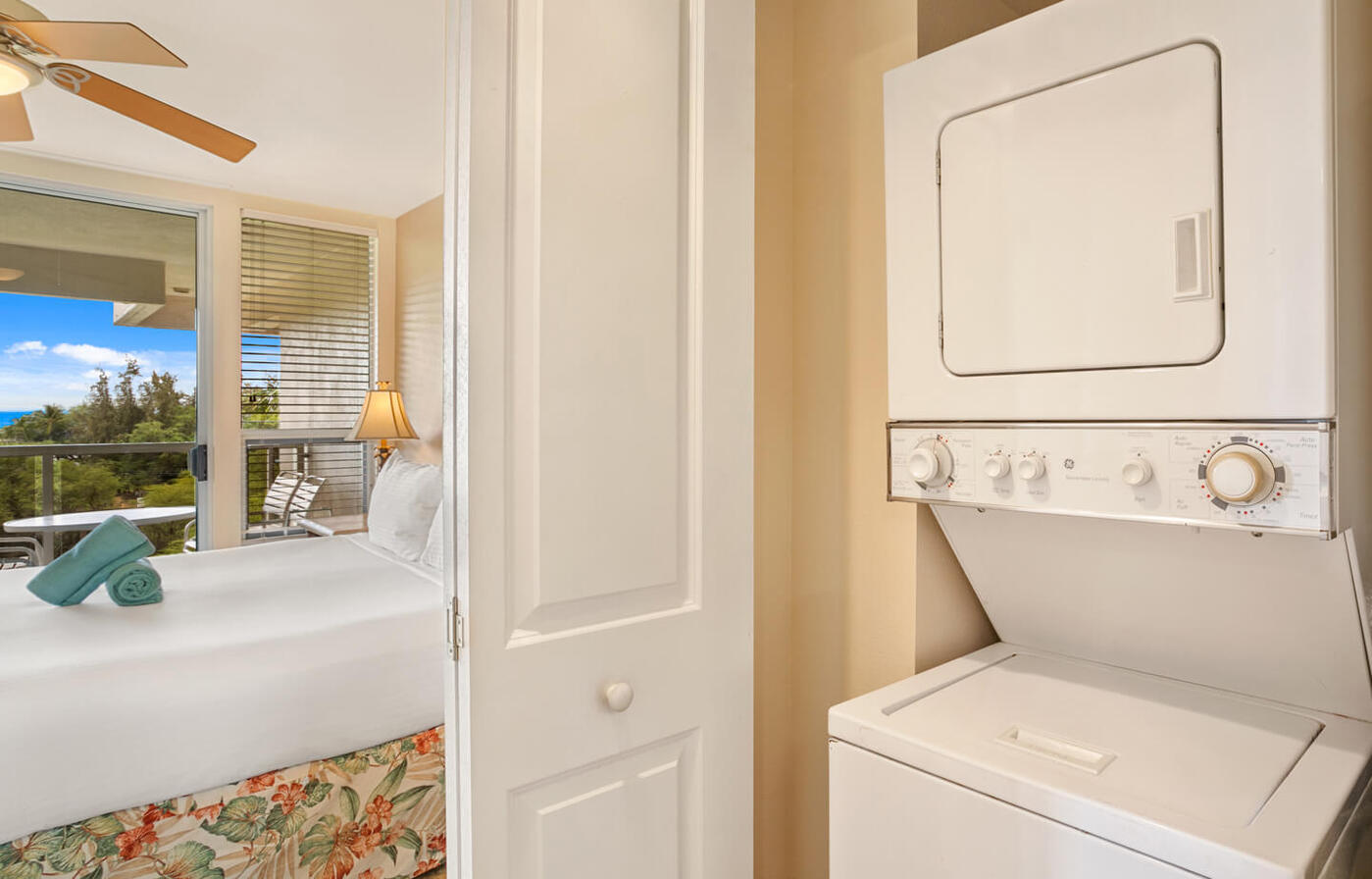 Two-Bedroom Deluxe Suite Master Washer and Dryer