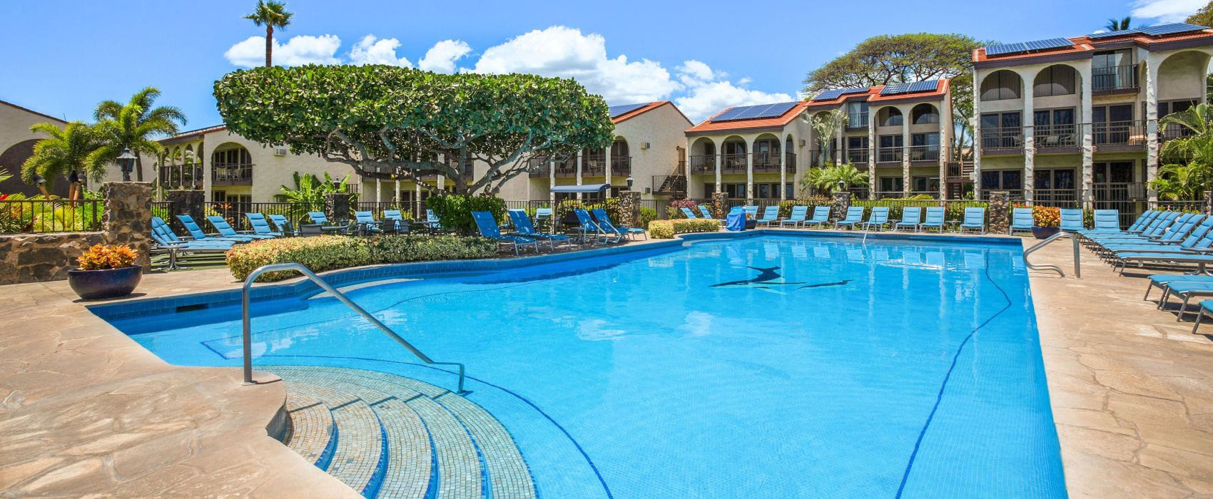 Aston Maui Hill pool with signature whale at the bottom of the pool, blue lounge chair seating around the pool deck, lush trees, bushes and grassy lawn, under the blue sky and view of the blue ocean behind.