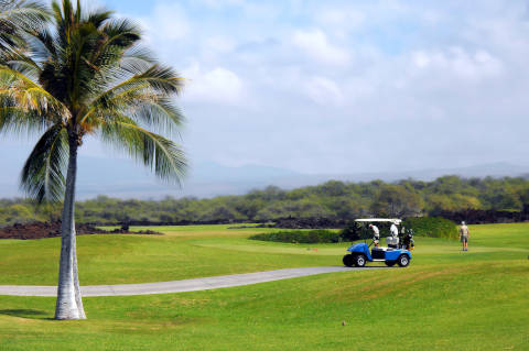 Golf course with palm trees and golf cart on Hawaii's Big Island