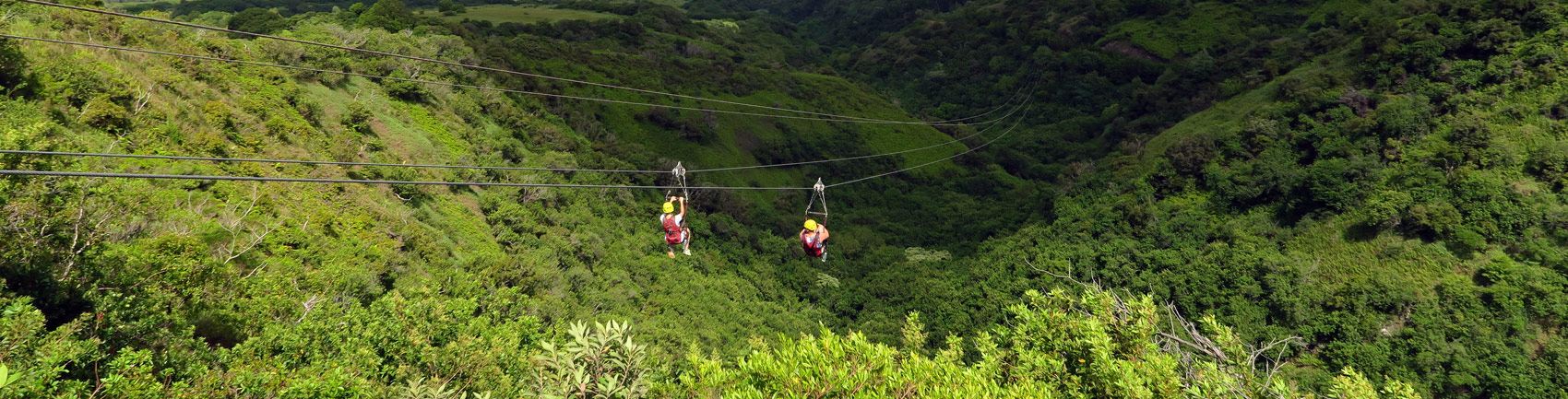 View of two people on zip lines carrying them over green trees and foliage into a valley.