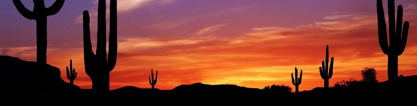 Landscape shot of cactus and mountains at sunset