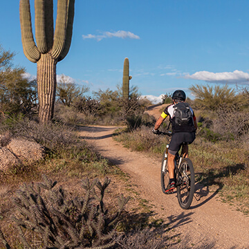 Mountain biker on desert landscape trail 