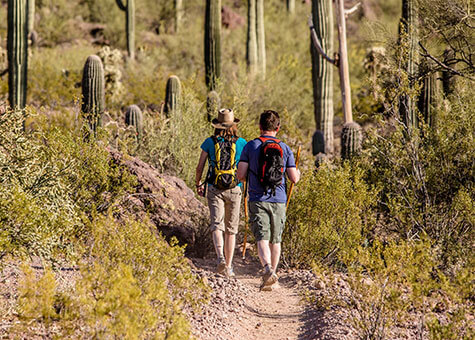 2 people hiking through desert terrain
