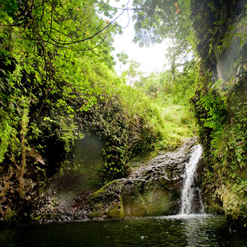 Maunawili Falls Kailua Oahu