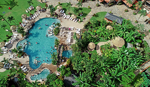Aerial View of Garden Pool