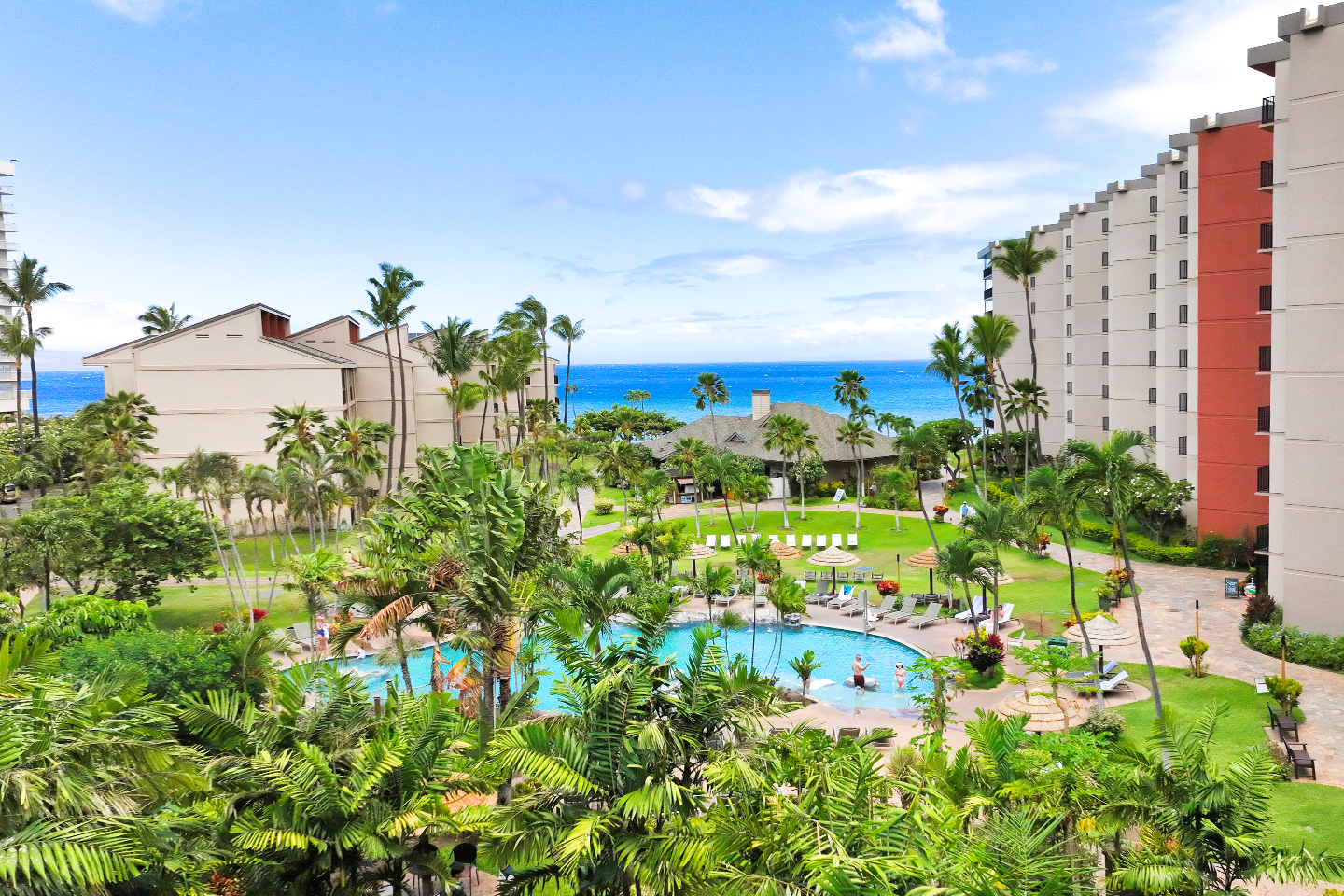 Outdoor garden, pool, and sun deck overlooking the ocean.