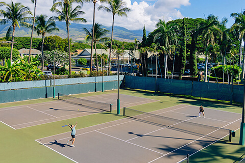 Pickleball court