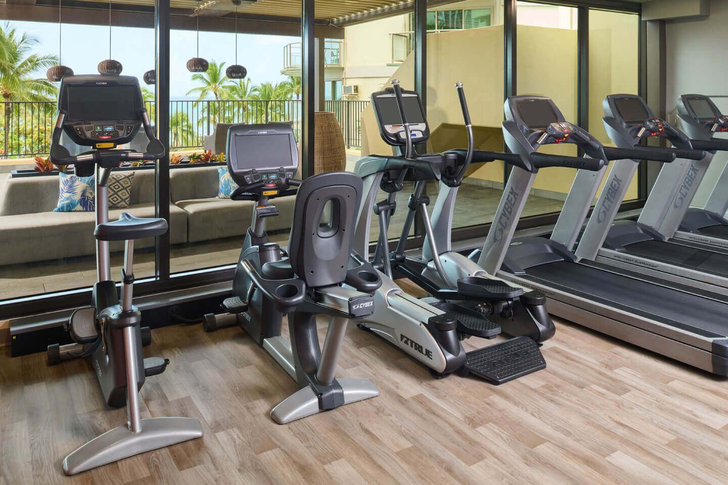Treadmills and Other Exercise Equipment
