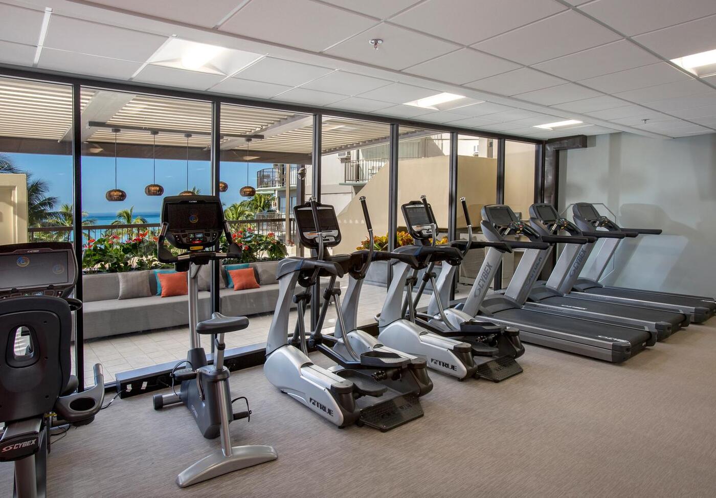 Fitness center cardio machines with large windows