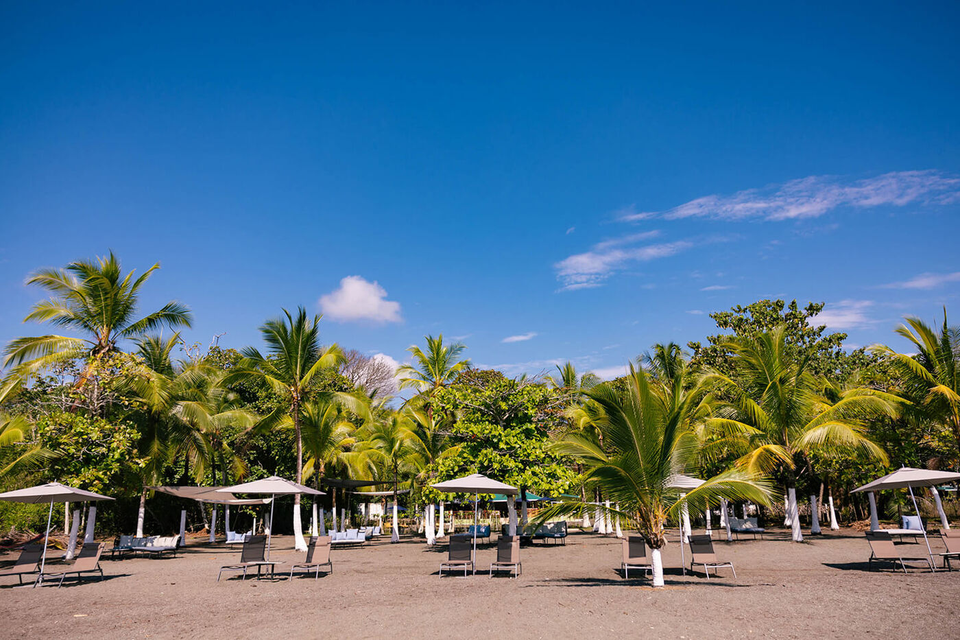 Cahui beach club with loungers, umbrellas, trees