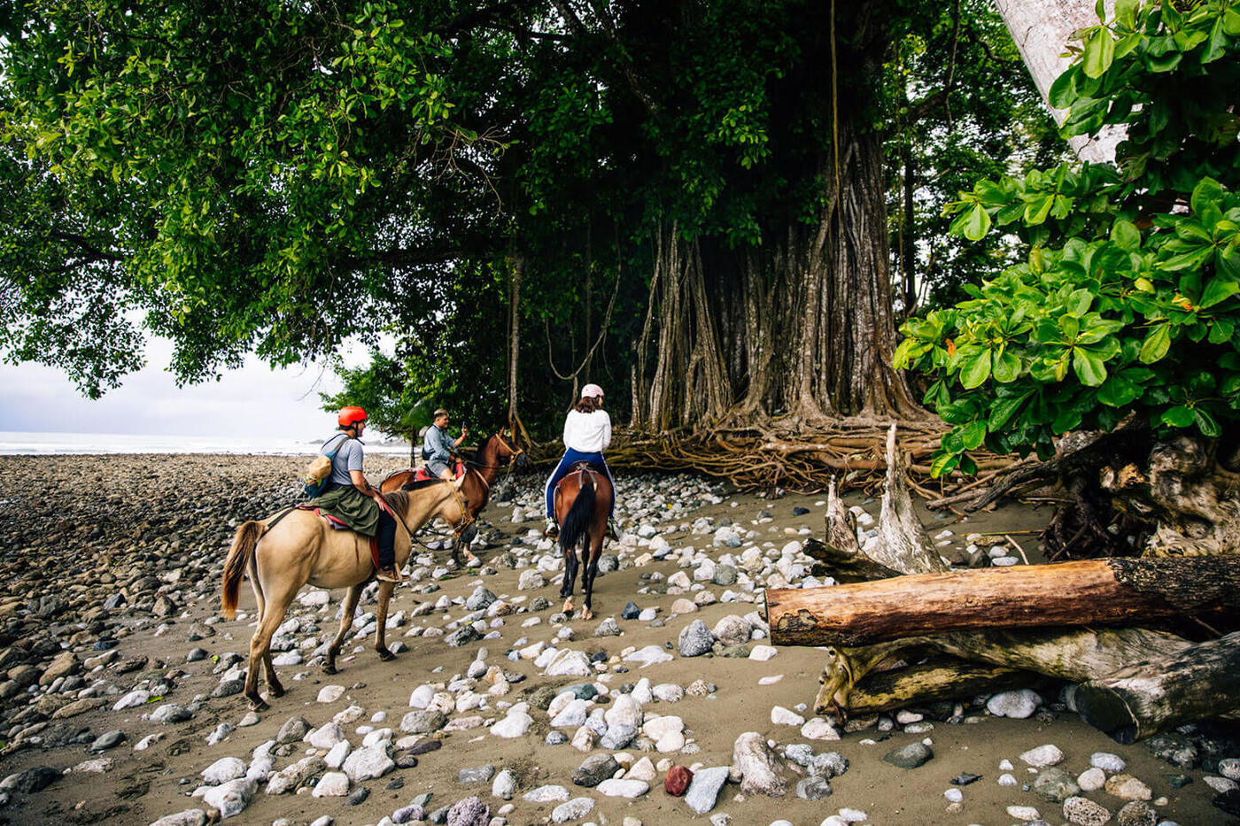 People horseback riding on beach