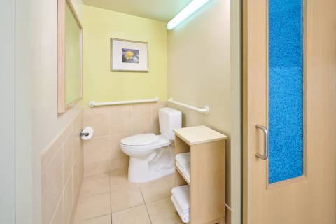 Roll-in bathroom accommodations for accessibility 