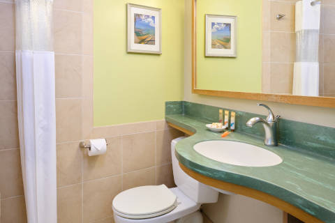 Hotel Room Bathroom with bath amenities