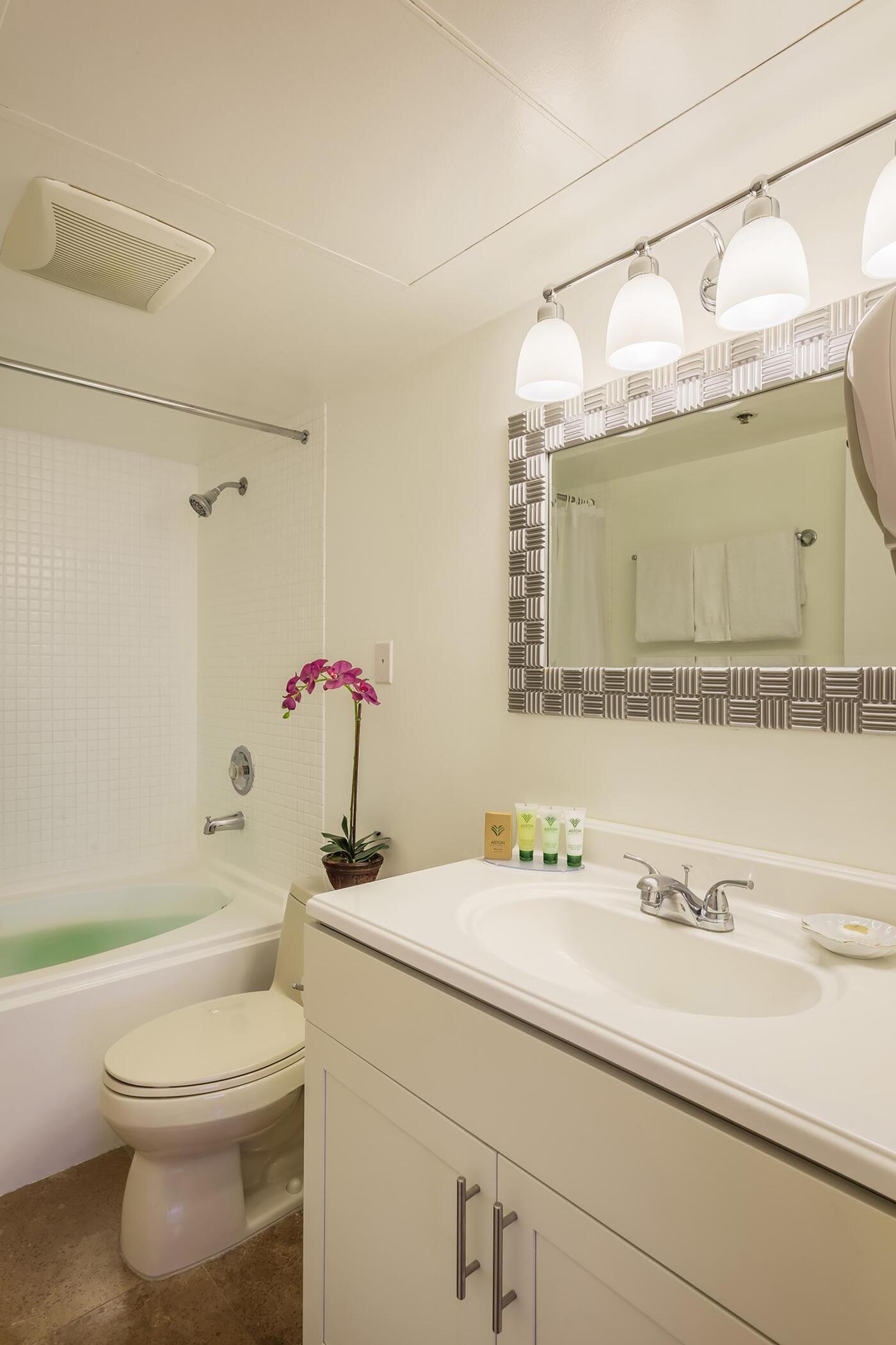 One-Bedroom Executive Ocean View Suite Bathroom