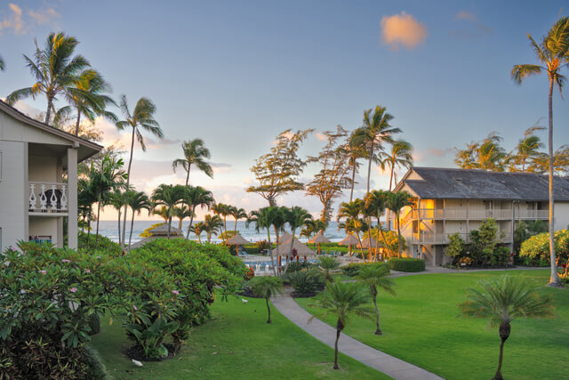 Path with palm trees and lush foliage on property