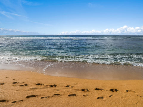 Beach during the day