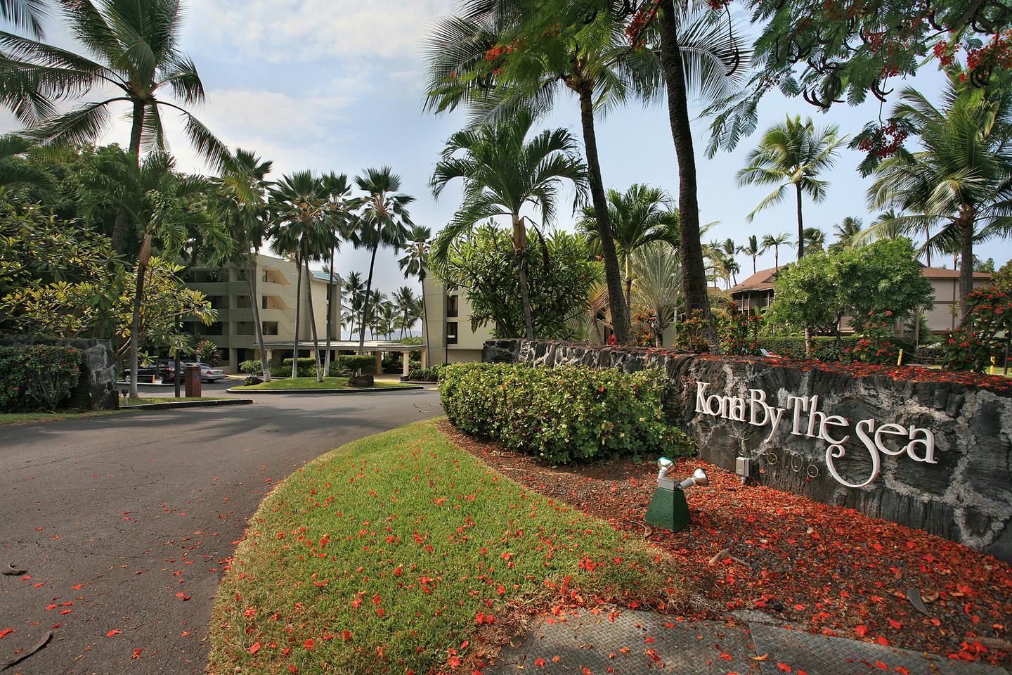 Driveway entrance to the resort with topical plants