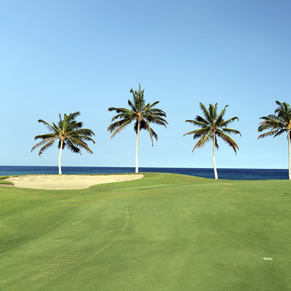 Golf course in Hawaii Island Kona