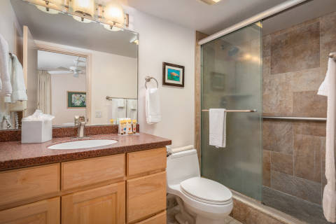 Updated One-Bedroom Ocean View Bathroom with sliding glass doors for walk-in shower