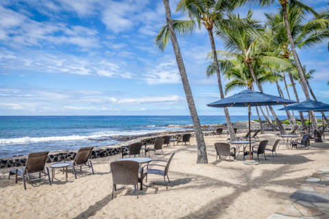 Oceanfront with Lounge Chairs