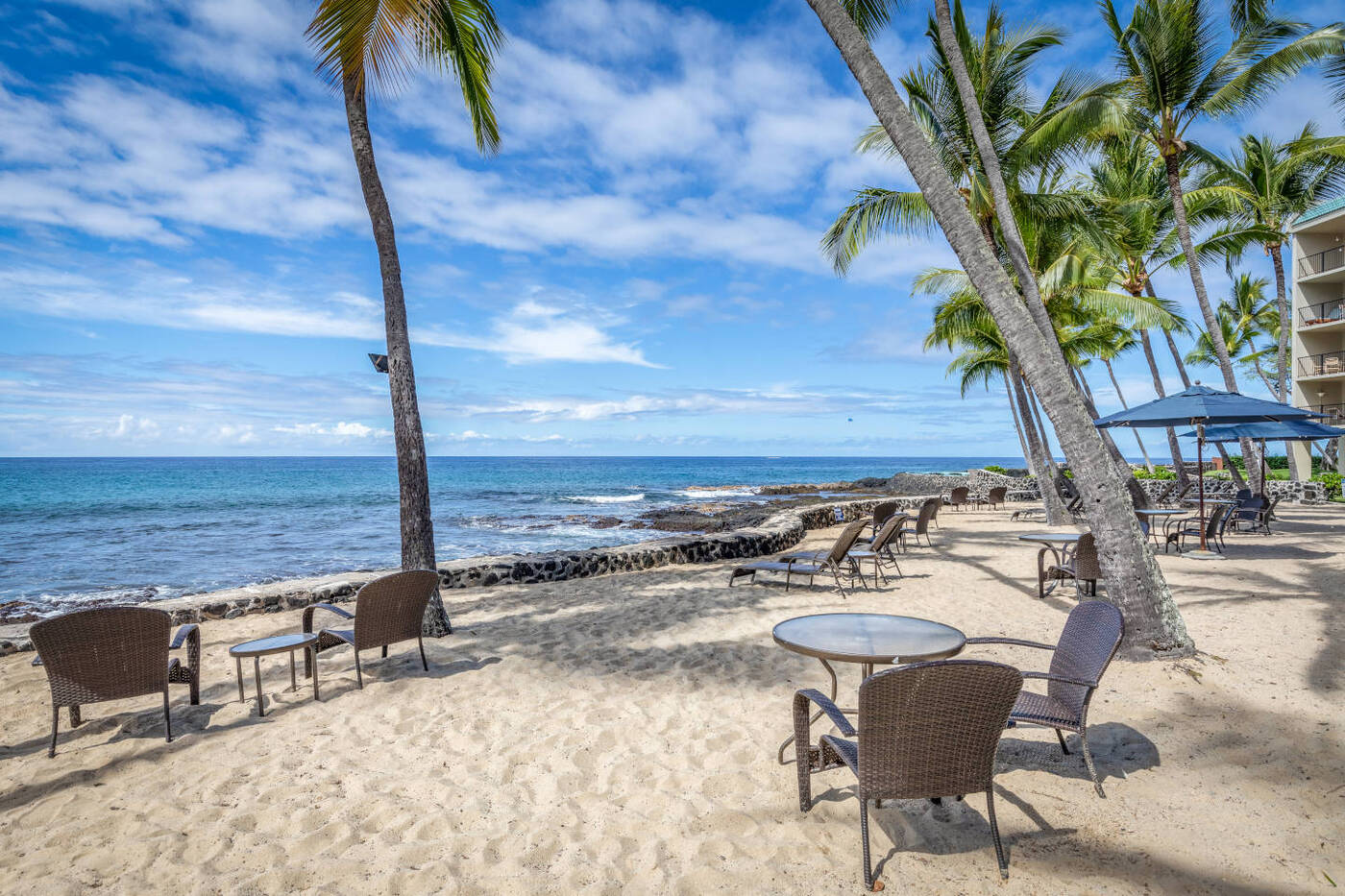 晴れた日の海岸線沿いのヤシの木の下や砂浜に置かれた椅子