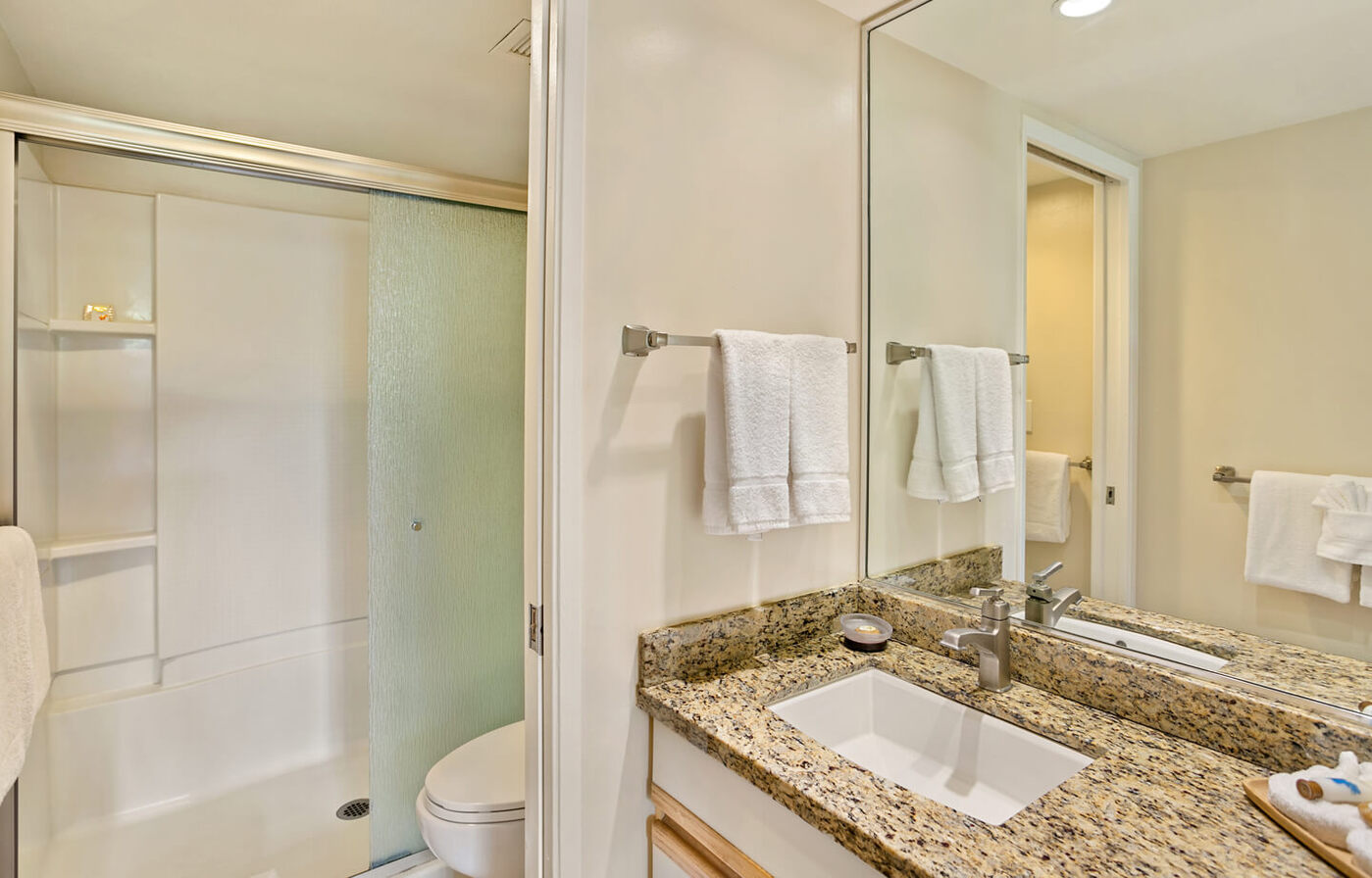Two-Bedroom Standard Suite Bathroom