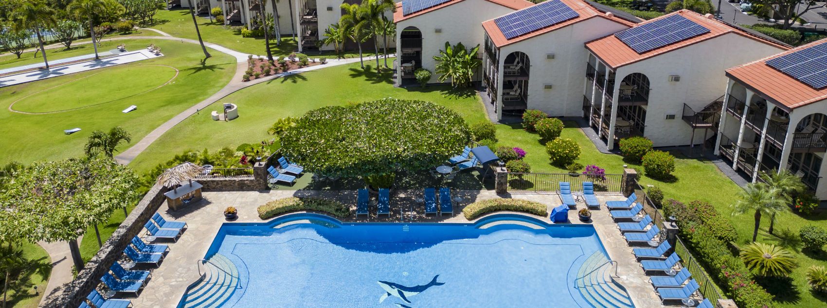 Property view of Maui Hill showing pool, blue padded lounge chairs, lush green trees and plants, builds and ocean in the background