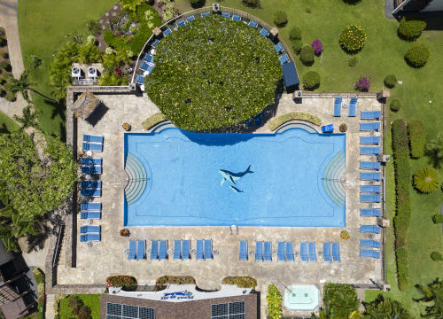 Swimming pool with whale logo on the pool's floor, blue lounge chairs line the pool deck, landscaped with lush trees and green grass  