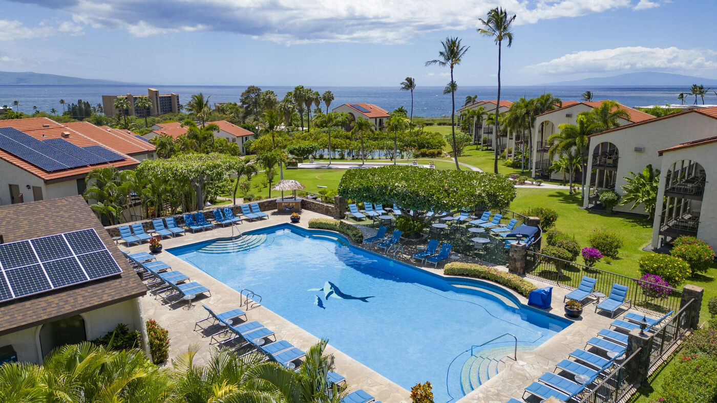 Property view of Maui Hill showing pool, blue padded lounge chairs, lush green trees and plants, builds and ocean in the background