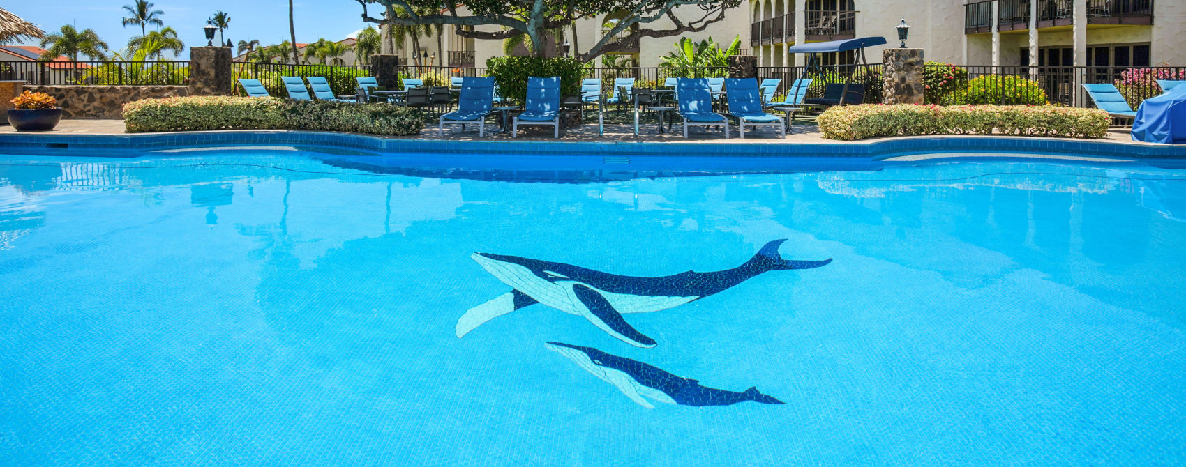 Pool at the Maui Hill with two whales in the pool bottom tile and blue padded lounge chairs under a lush green tree