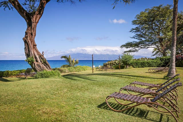 Lounge Chairs on Oceanfront Lawn