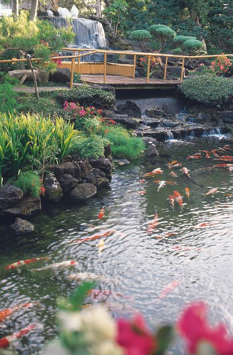 Affordable Honolulu Hotels Pagoda Hotel Aqua Aston Hotels