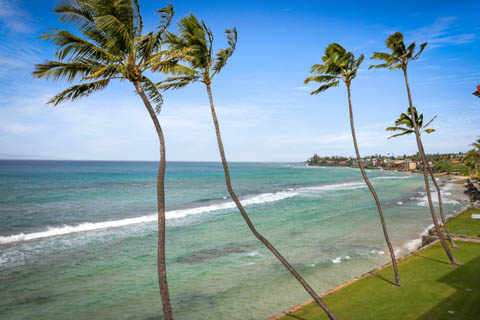 Views of the blue ocean coastline with palm tress blowing in the wind from the resort grounds