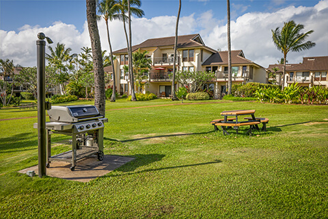 Resort lawns and barbecue