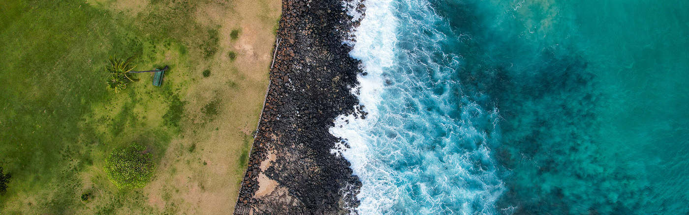 Aerial view of shoreline