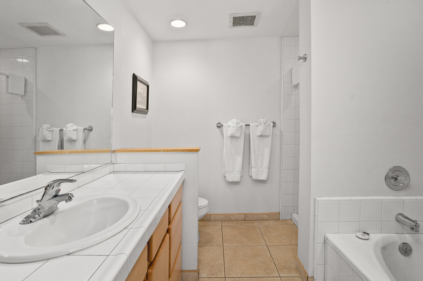 Bathroom sink, counters, toilet, shower.