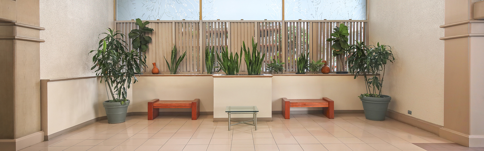 Lobby with bench seating and plants
