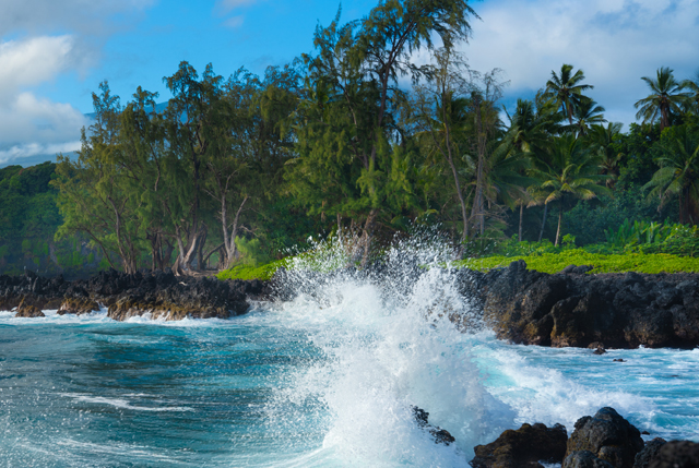 Beachfront shore break where rolling waves meet the sand.
