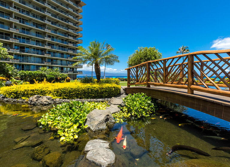 アストン・アット・ザ・ホエラー・オン・カアナパリ・ビーチの写真