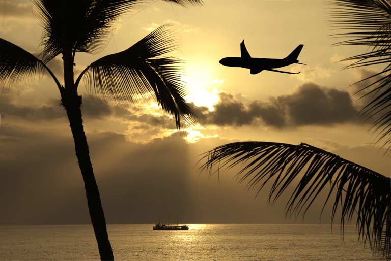 Airplane flying over with palm trees