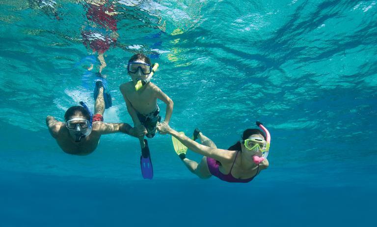 People snorkeling underwater