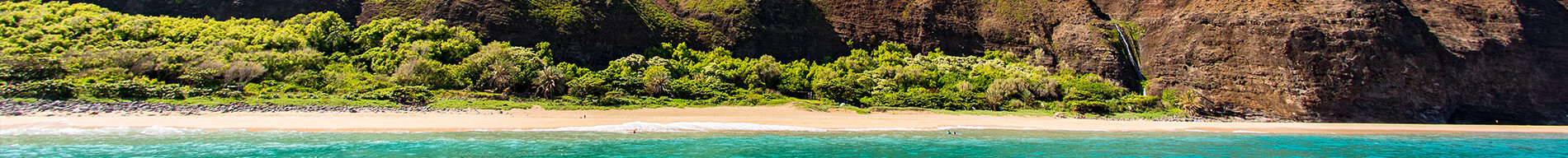 Landscape view of beach on Kauai