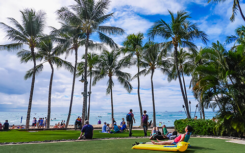 Palm trees and people on oceanfront lawns