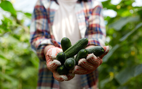 Woman holding garden vegetables