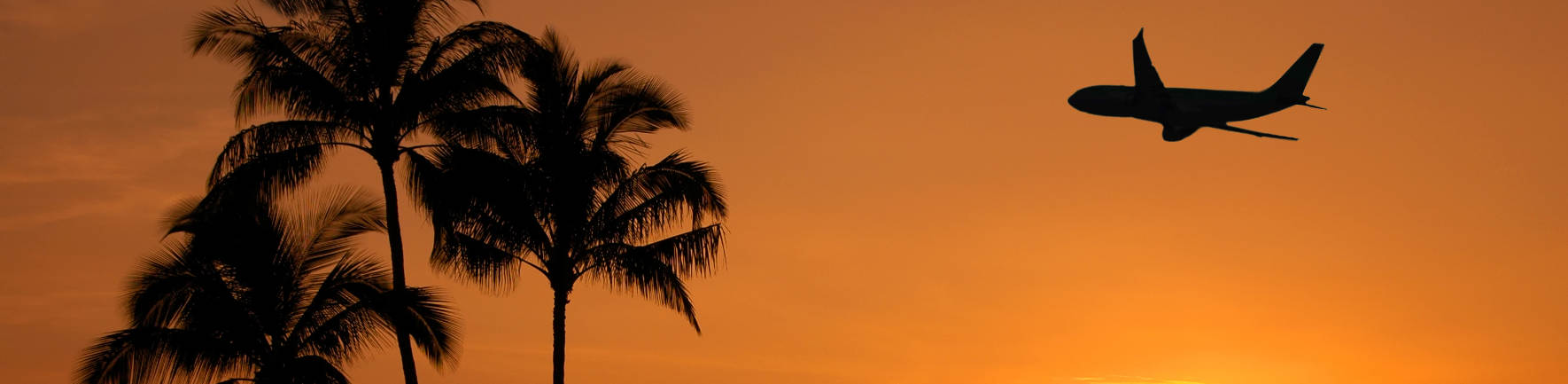 Orange colored sky with a silhouette of an airplane flying above with palm trees