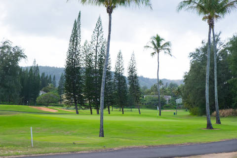 Oahu_TurtleBay_Golf480.jpg